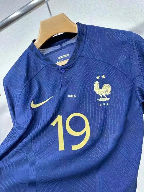法国欧洲杯夺冠球衣（法国2020欧洲杯主场球衣）