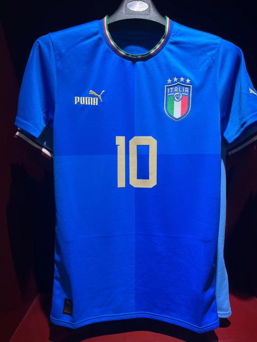 欧洲杯2014意大利球衣（2020欧洲杯意大利14号球员）