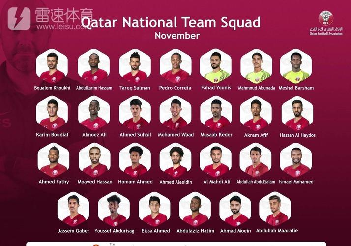 卡塔尔欧洲杯队员名单（卡塔尔欧洲杯队员名单公布）