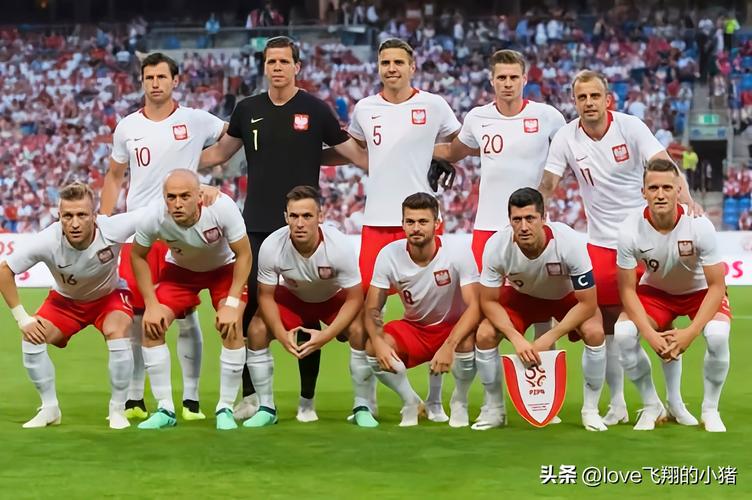 2020欧洲杯波兰主帅（2020欧洲杯波兰国家队阵容）